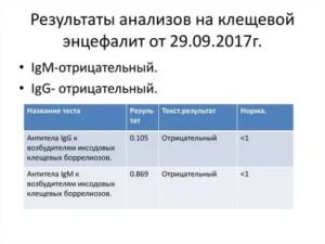 Интерпретация анализа крови на клещевой энцефалит