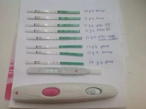 Беременность, задержка, тест положительный, крутит живот