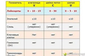 Лейкоцитов в мазке 18-20 при норме 10-15