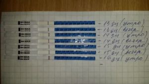 Тянет живот при беременности в дни предполагаемых месячных