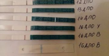 Не приходят месячные после дюфастона Не приходят месячные после дюфастона