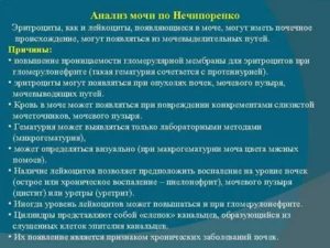 Повышены эритроциты по Нечипоренко