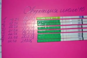 Как отследить овуляцию по узи
