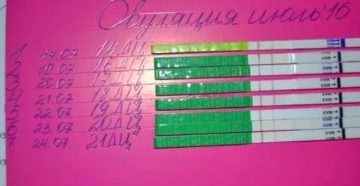 Как отследить овуляцию по узи Как отследить овуляцию по узи