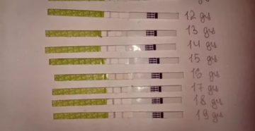 Поздняя овуляция Поздняя овуляция