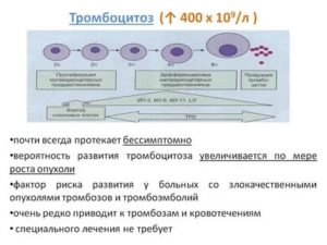 Тромбоцитоз после беременности