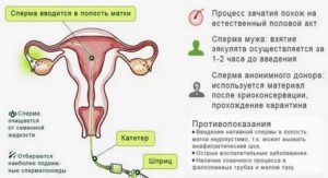 Сперма вытекает из влагалища и вероятность беременности