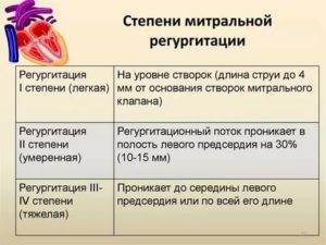 Недостаточность аортального клапана: фиброз створок, регургитация до 2-3 степени